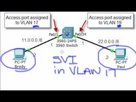 VLAN Interface Vs VLAN - Find Out The Difference, Now!