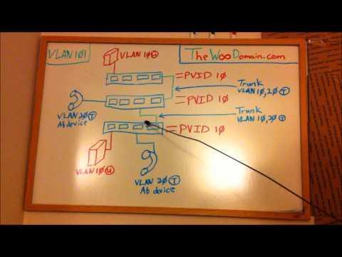 Understanding Basic VLAN Configuration
