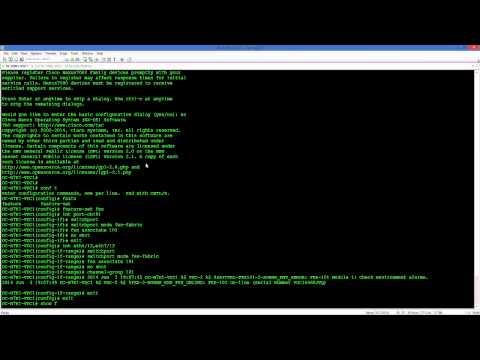 Cisco Nexus FEX And VPC Configuration