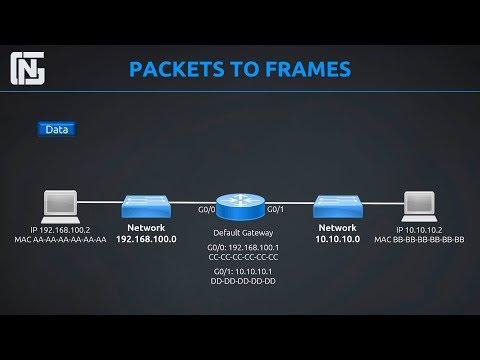 Routers, Switches, Packets And Frames