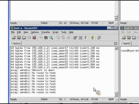 Juniper Learning Byte: NonStop Bridging